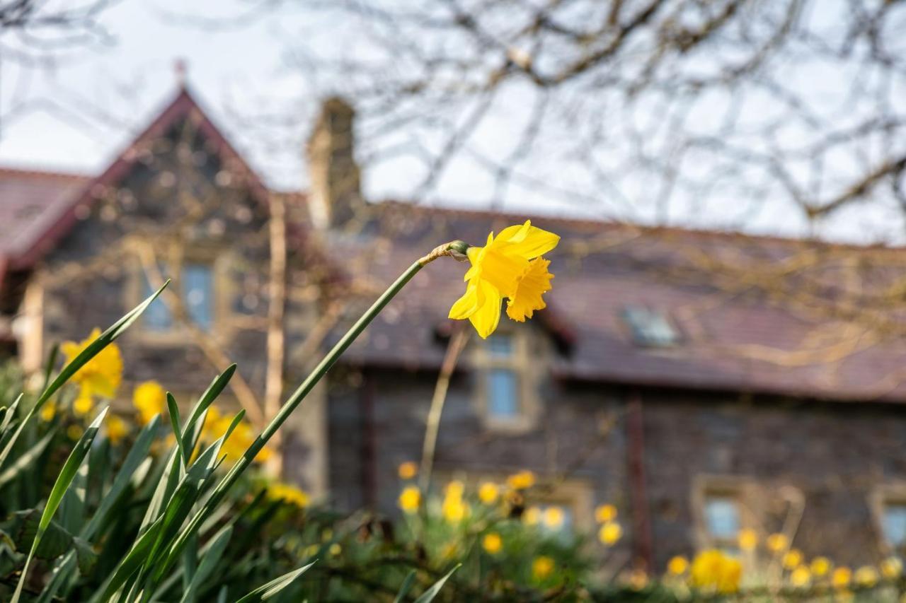 Penrhiw Priory Guest House Saint David’s Eksteriør bilde